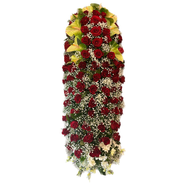 Copribara