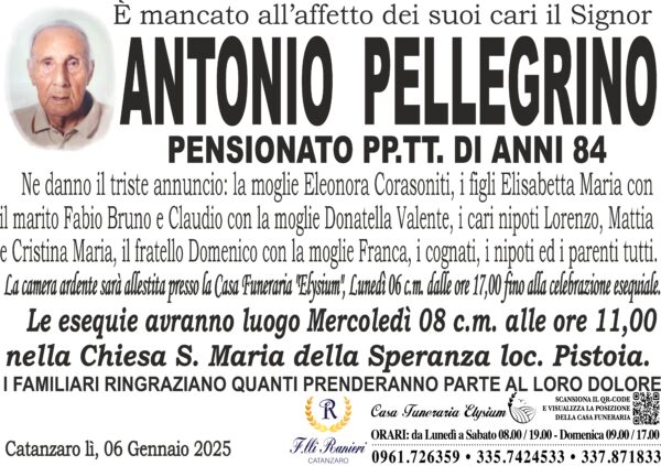 Antonio Pellegrino