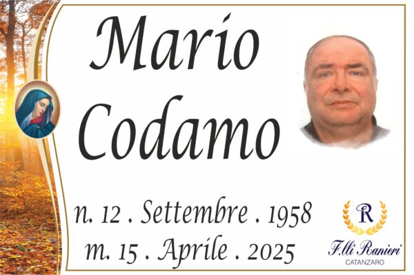 Mario Codamo